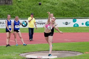 K1024 BRIER-6873160514