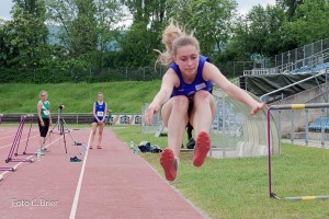 K1024 BRIER-6899160514