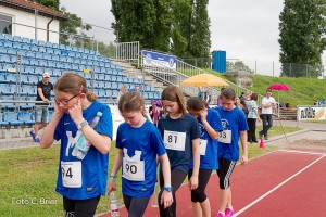 K1024 BRIER-7862160514