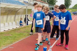 K1024 BRIER-7874160514