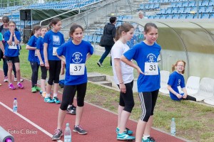 K1024 BRIER-7875160514