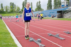 K1024 BRIER-7888160514