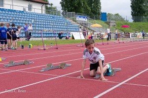 K1024 BRIER-7893160514