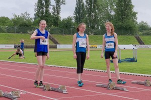 K1024 BRIER-7894160514