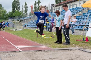 K1024 BRIER-7903160514