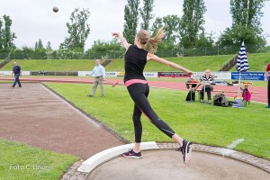 K1024 BRIER-7926160514