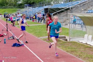 K1024 BRIER-7945160514