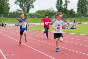 K1024 BRIER-7964160514