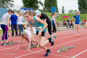 K1024 BRIER-7973160514