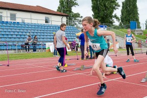 K1024 BRIER-7978160514