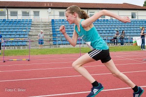 K1024 BRIER-7981160514