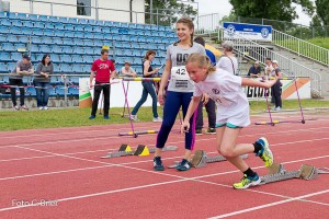 K1024 BRIER-7983160514