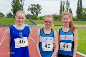 K1024 BRIER-7997160514