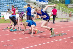 K1024 BRIER-8001160514