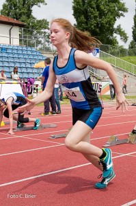 K1024 BRIER-8008160514