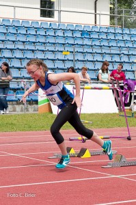 K1024 BRIER-8009160514