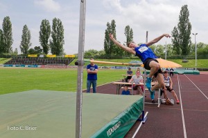 K1024 BRIER-8045160514