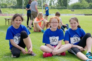 K1024 BRIER-8088160514