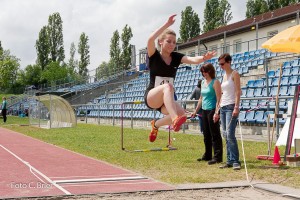 K1024 BRIER-8100160514