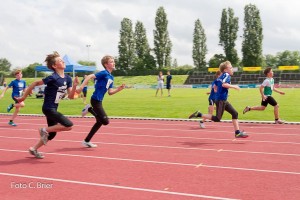 K1024 BRIER-8118160514