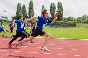 K1024 BRIER-8125160514