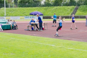 K1024 BRIER-8132160514