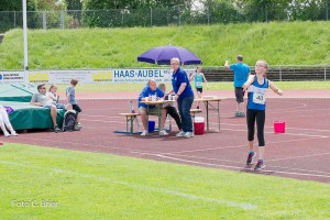 K1024 BRIER-8136160514