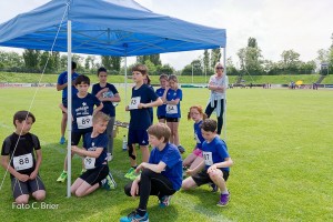 K1024 BRIER-8139160514