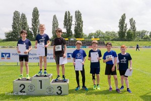 K1024 BRIER-8145160514