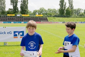 K1024 BRIER-8160160514