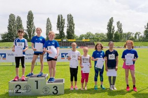 K1024 BRIER-8164160514