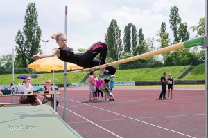 K1024 BRIER-8180160514