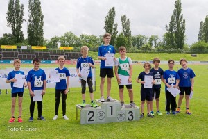 K1024 BRIER-8201160514