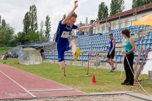 K1024 BRIER-8228160514