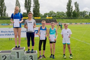 K1024 BRIER-8243160514