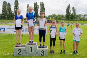 K1024 BRIER-8248160514