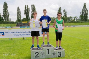 K1024 BRIER-8258160514