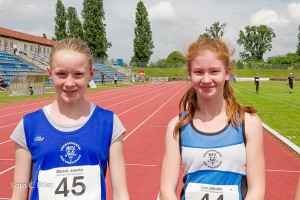 K1024 BRIER-8280160514