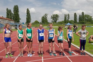 K1024 BRIER-8283160514