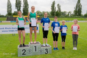 K1024 BRIER-8296160514